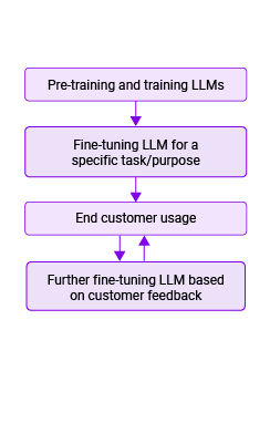 large language model (LLM) lifecycle