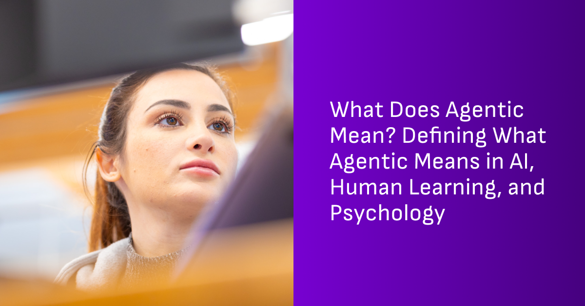 Understanding agentic meaning